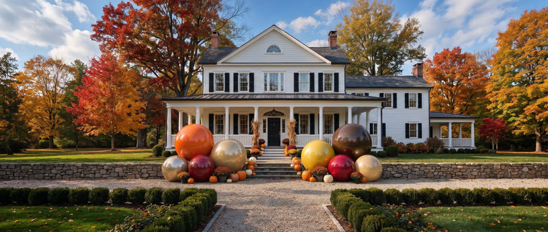 The Harvest Collection