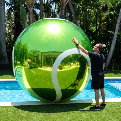 Big Shiny Sports Balls