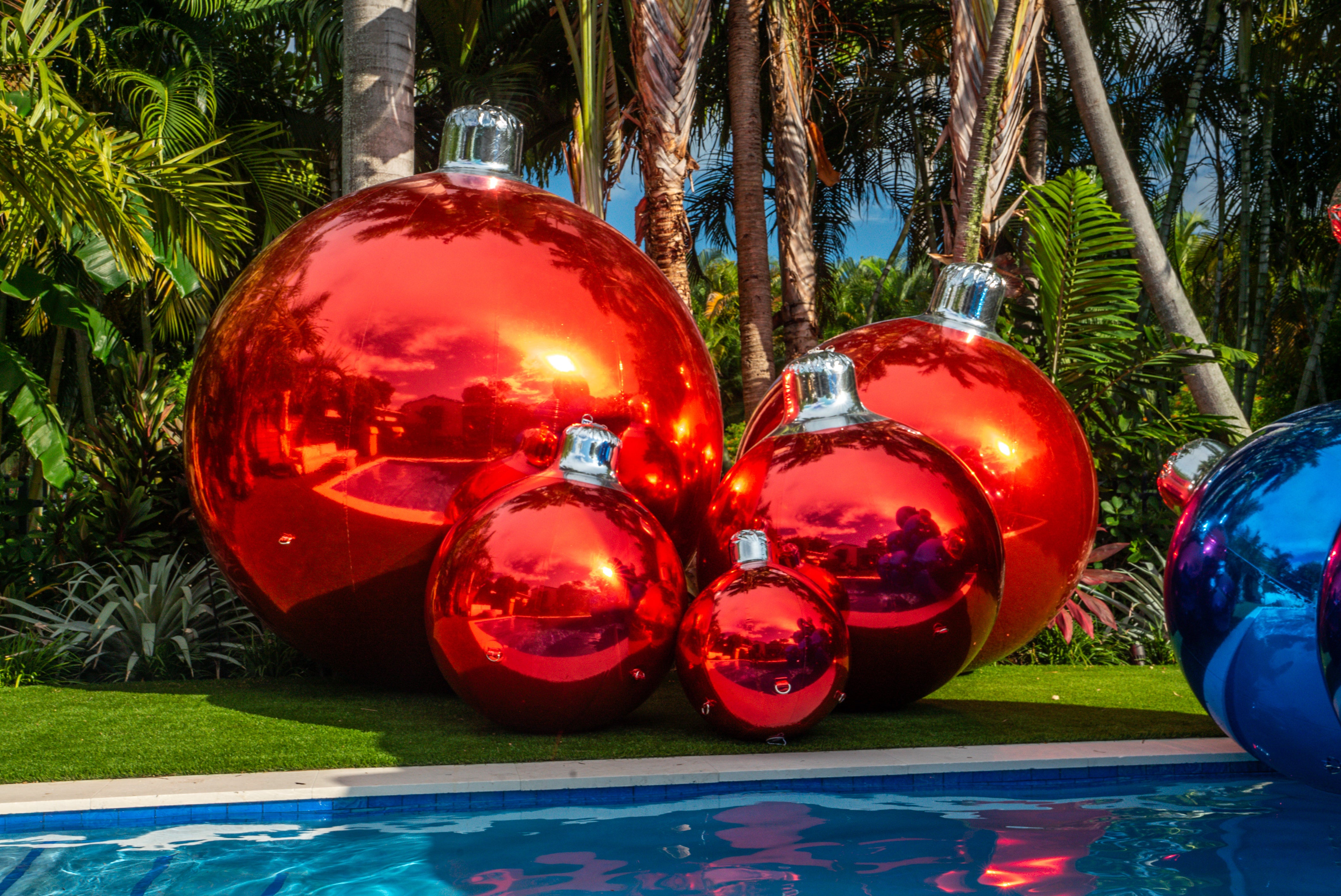 Shiny Ornament Assortment