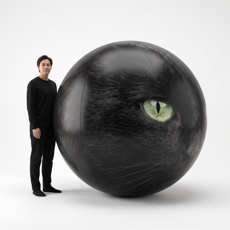 Black Cat "Binx" Ball