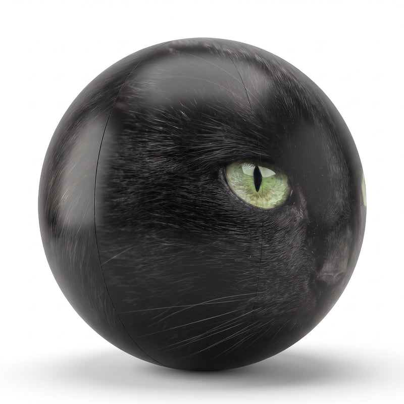 Black Cat "Binx" Ball
