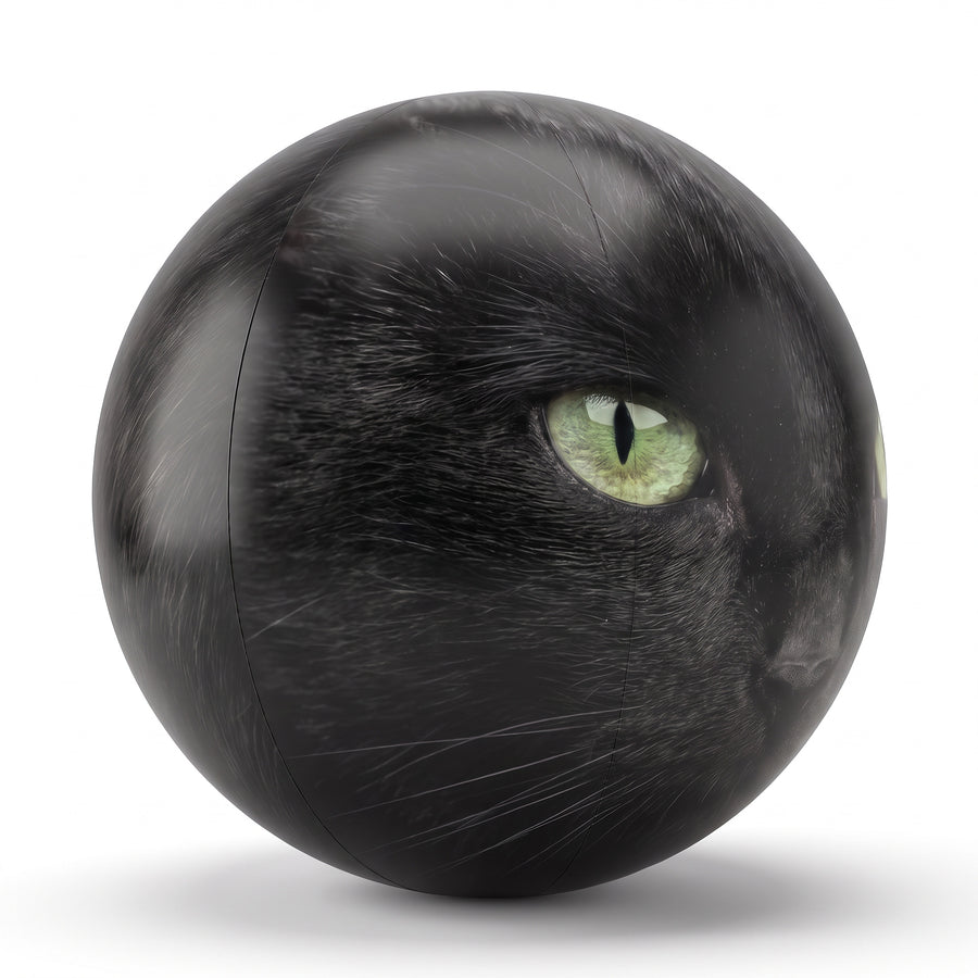 Black Cat "Binx" Ball